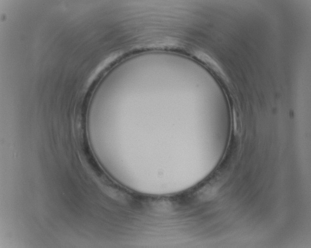 X0000073920483200609082242