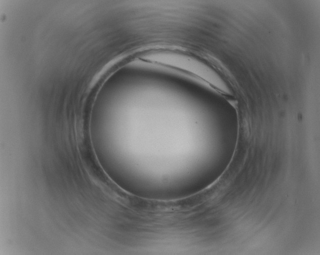 X0000073920484200609082242