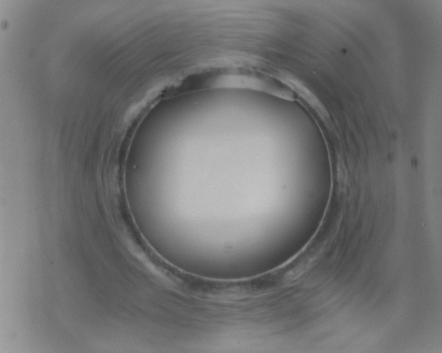 X0000073920485200609082242