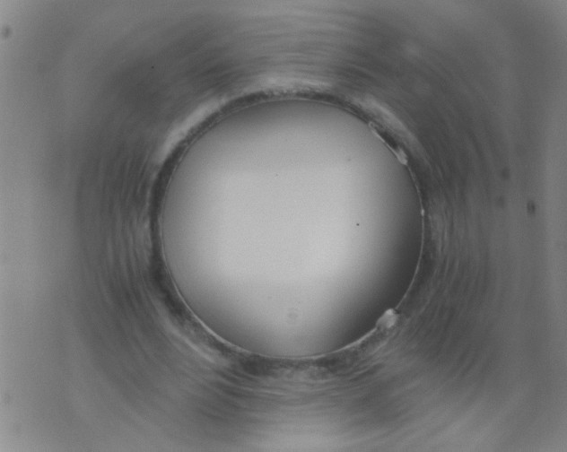 X0000073920488200609082242