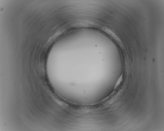 X0000073920489200609082241