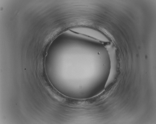 X0000073920493200609082241