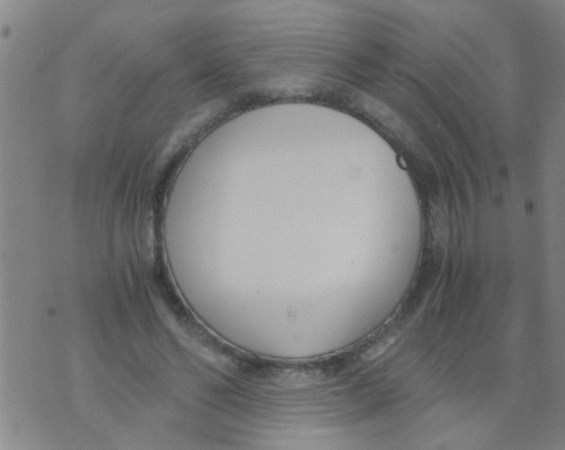 X0000073920494200609082241