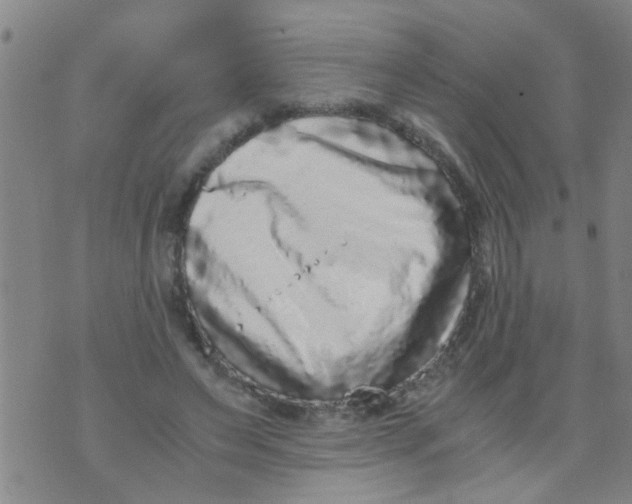 X0000073920495200609082241