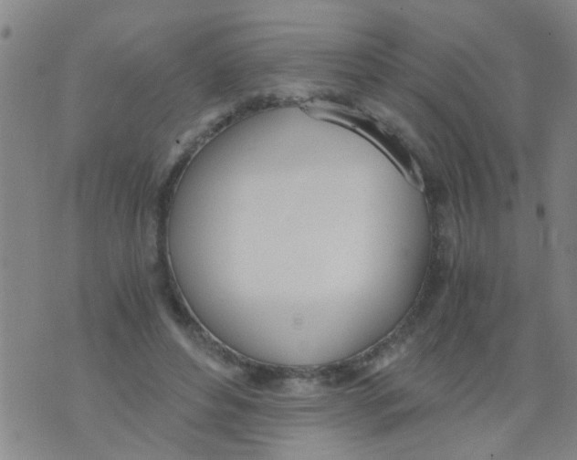 X0000073920496200609082241