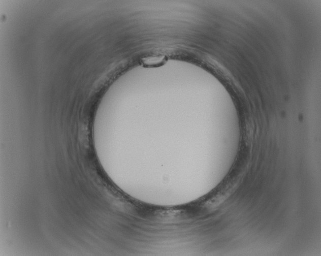 X0000073920497200609082241