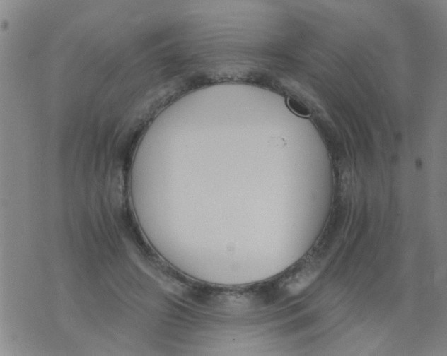 X0000073920498200609082241