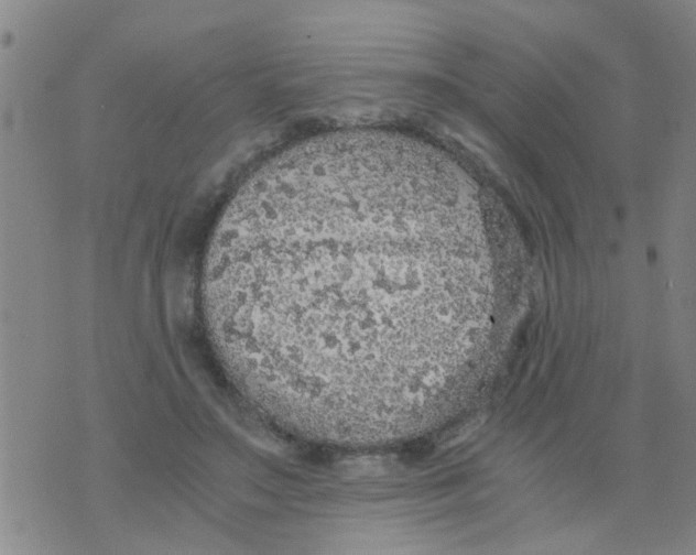 X0000073920499200609082241