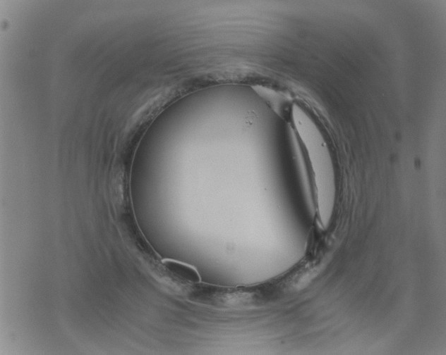 X0000073920501200609082241