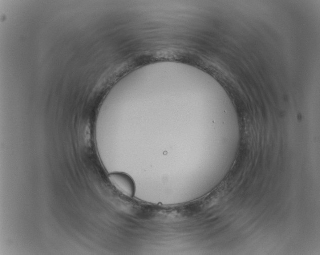 X0000073920502200609082241