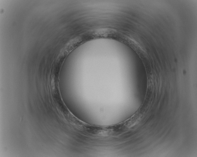 X0000073920504200609082241