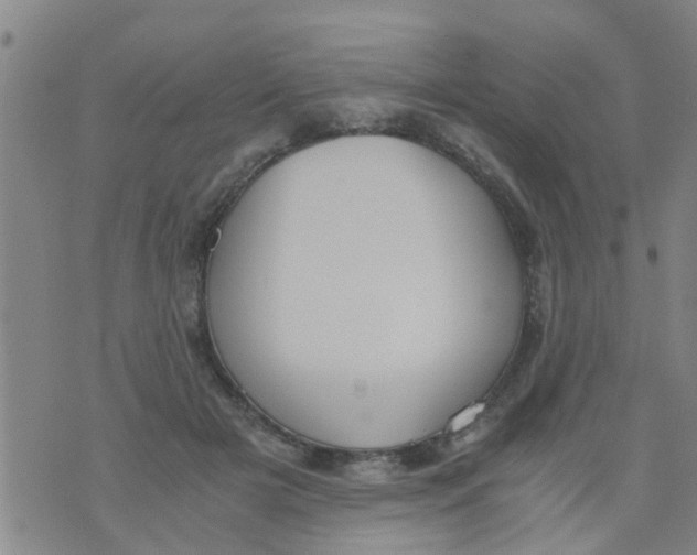 X0000073920505200609082241