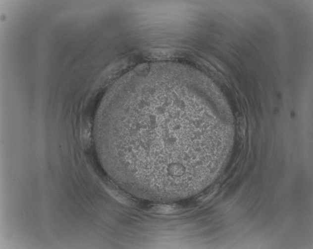 X0000073920507200609082241