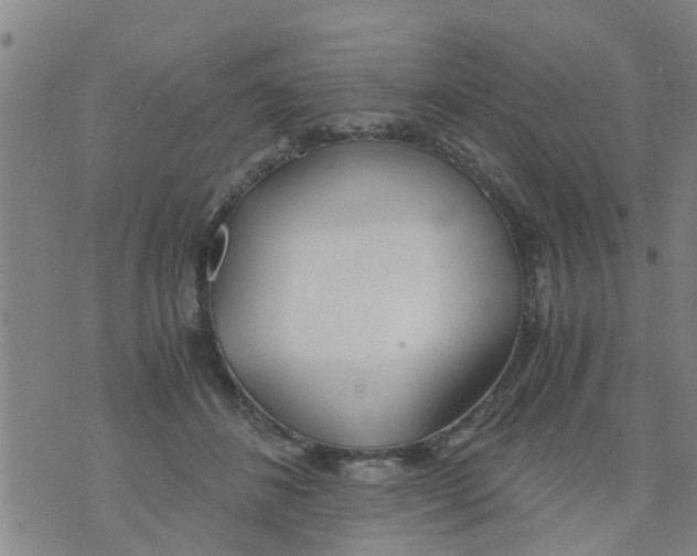 X0000073920508200609082241