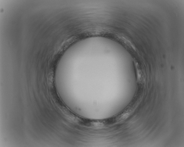 X0000073920509200609082241