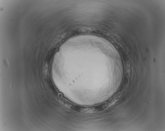 X0000073920511200609082241