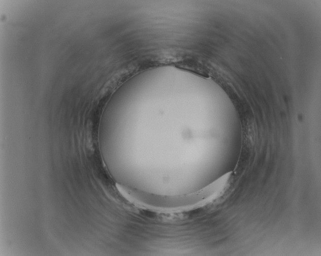 X0000073920512200609082241