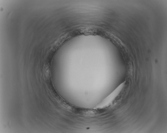 X0000073920513200609082241