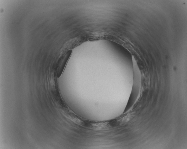 X0000073920516200609082241