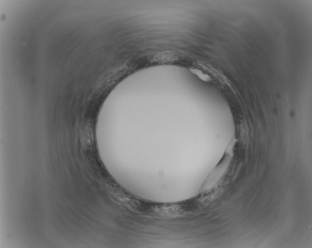 X0000073920517200609082241