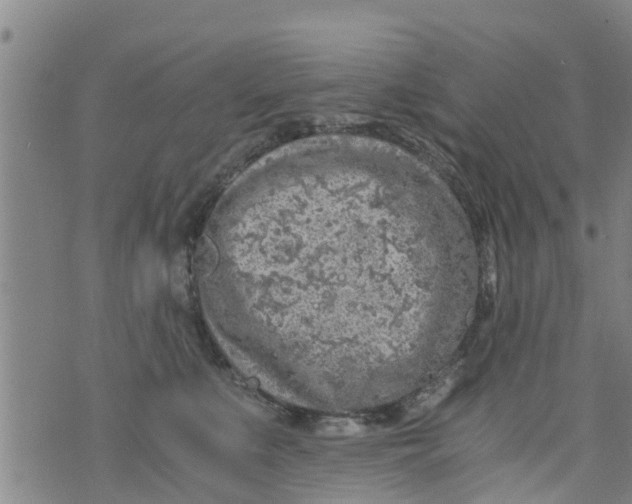 X0000073920519200609082241