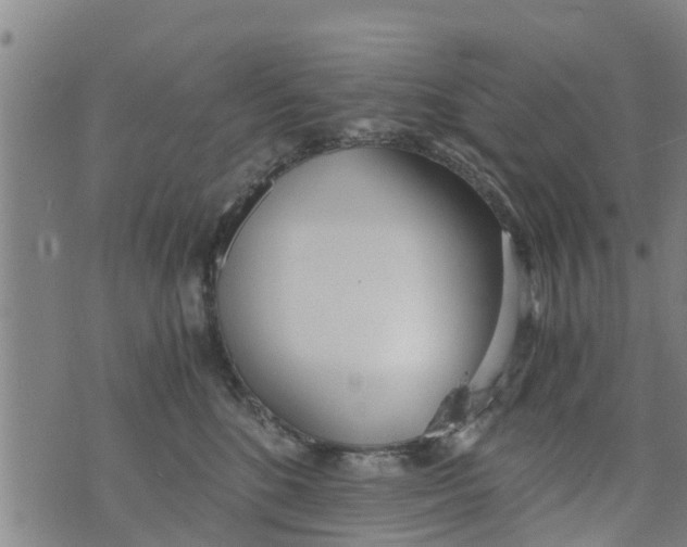 X0000073920520200609082241