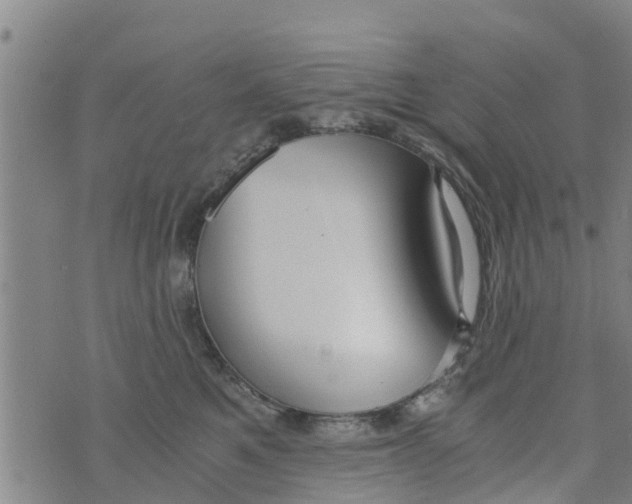 X0000073920521200609082241