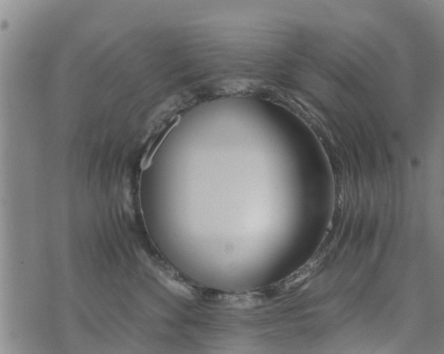 X0000073920524200609082241