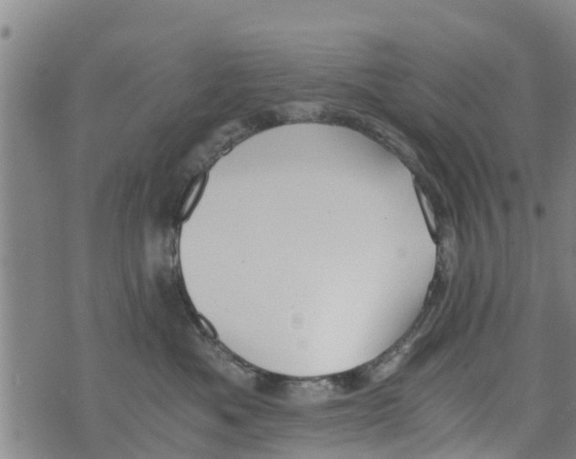 X0000073920525200609082241