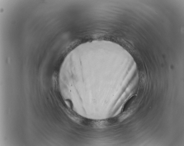 X0000073920527200609082241