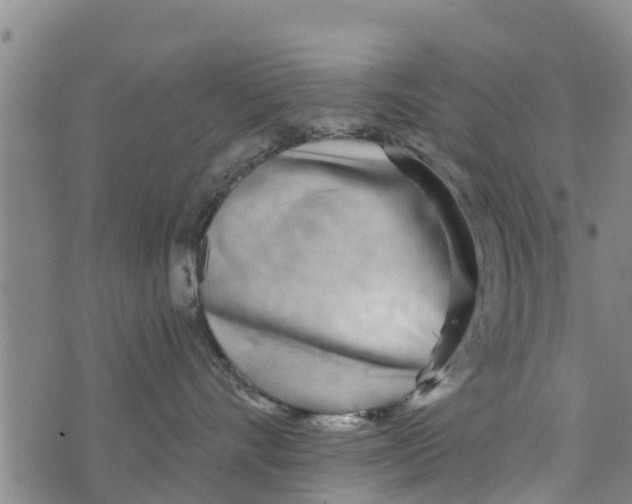 X0000073920528200609082241