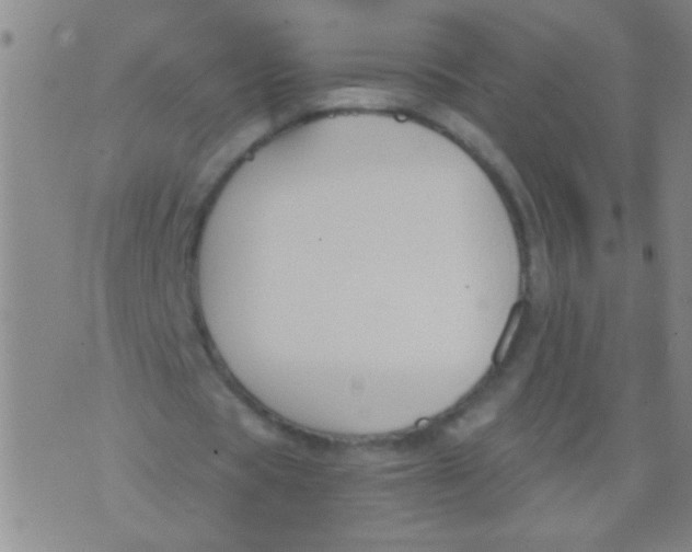 X0000073920529200609082240