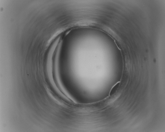 X0000073920530200609082240