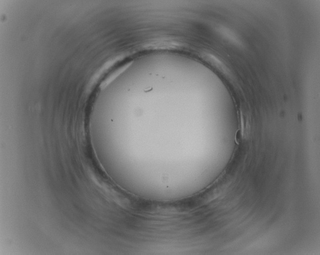 X0000073920531200609082240