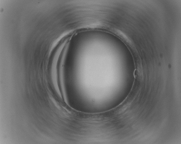 X0000073920532200609082240