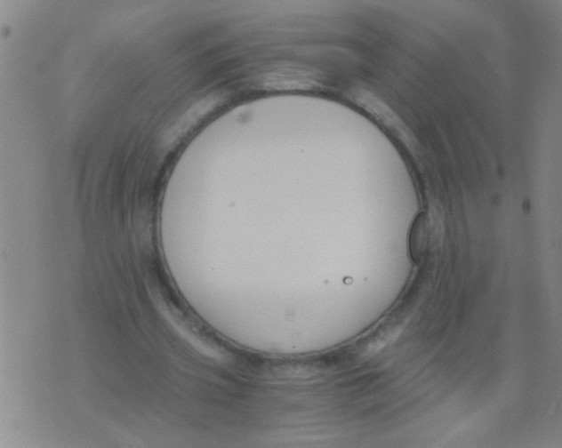 X0000073920533200609082240