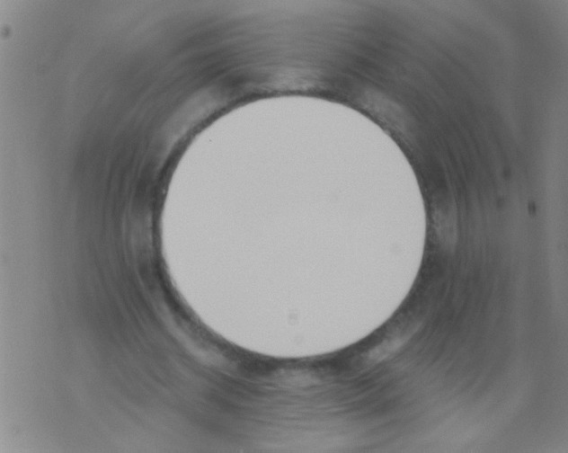 X0000073920534200609082240