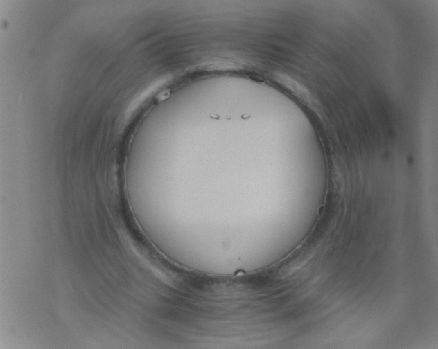 X0000073920535200609082240