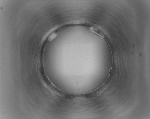 X0000073920536200609082240