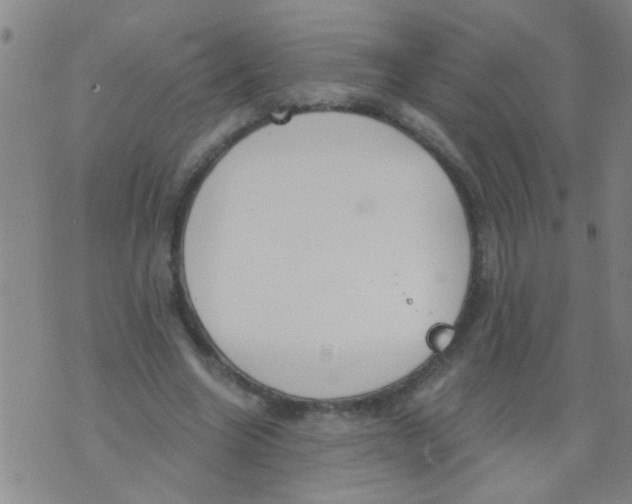 X0000073920538200609082240