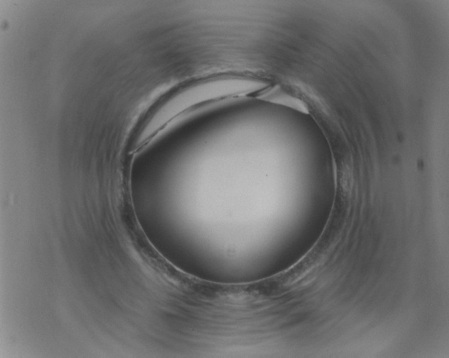 X0000073920540200609082240