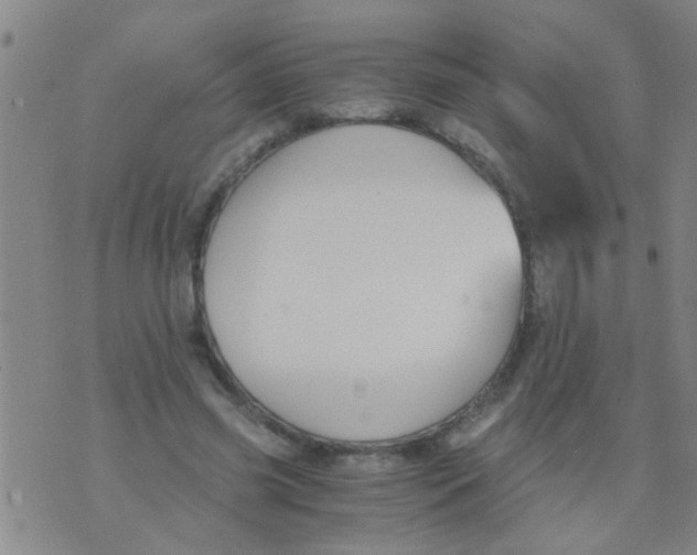 X0000073920541200609082240