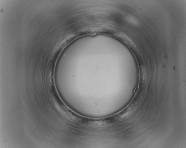 X0000073920542200609082240