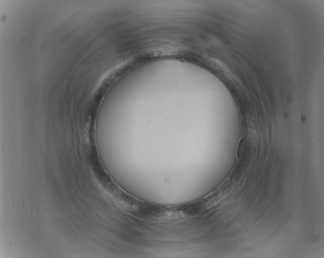 X0000073920543200609082240