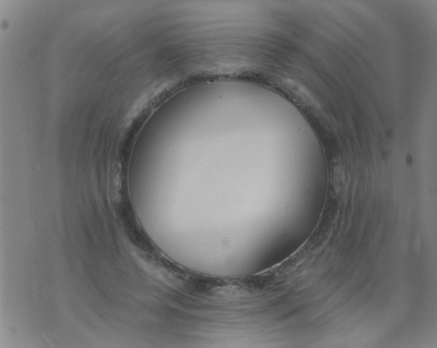 X0000073920544200609082240