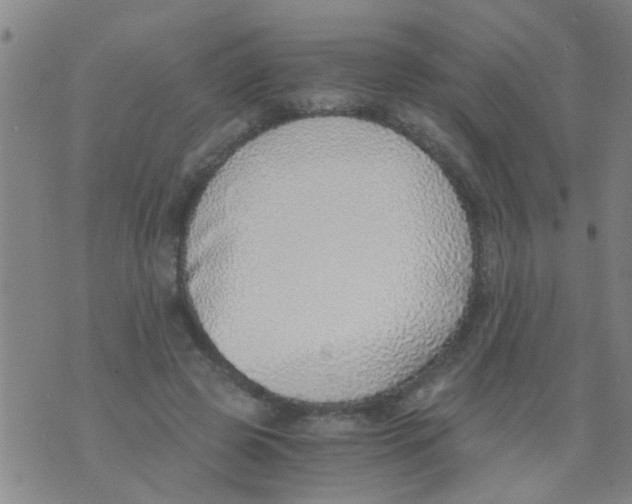 X0000073920545200609082240