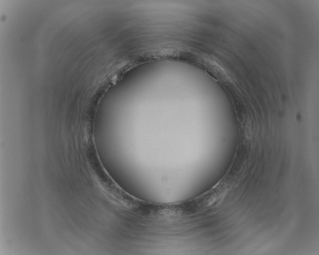 X0000073920546200609082240