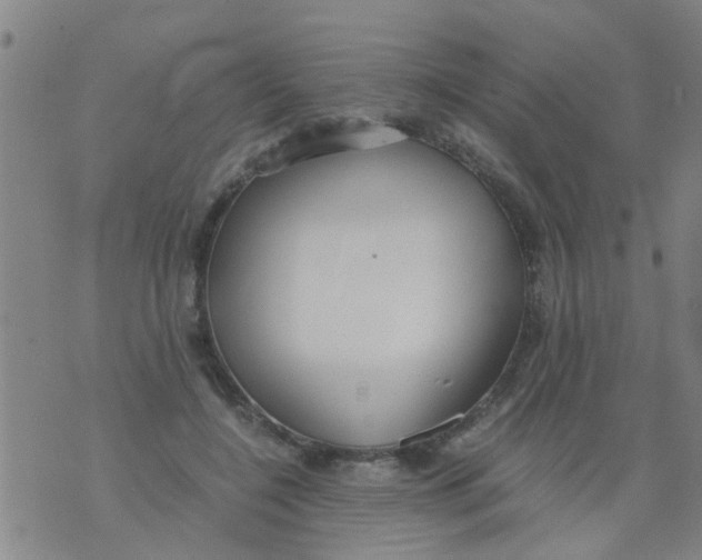 X0000073920548200609082240