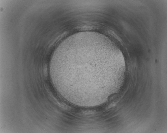 X0000073920549200609082240