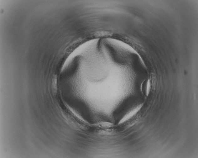 X0000073920550200609082240